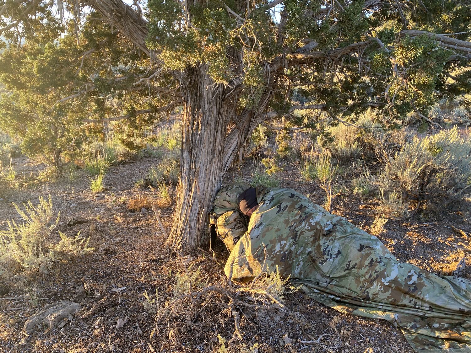 Camouflaged operator crouching in dense woodland